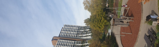 Ein Blick in den Innenhof der Wohnanlage Alterlaa, links ein Hochhaus, davor ein Spielplatz und Bäume