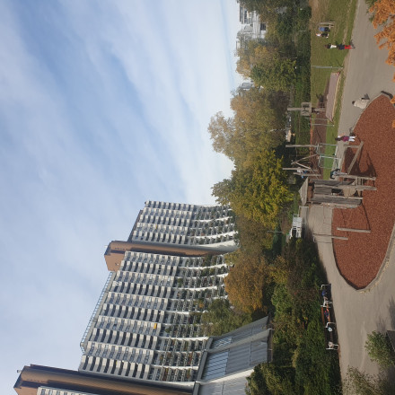 Ein Blick in den Innenhof der Wohnanlage Alterlaa, links ein Hochhaus, davor ein Spielplatz und Bäume